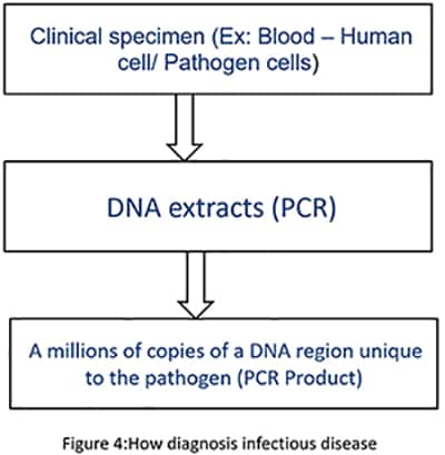 How diagnosis infectious disease